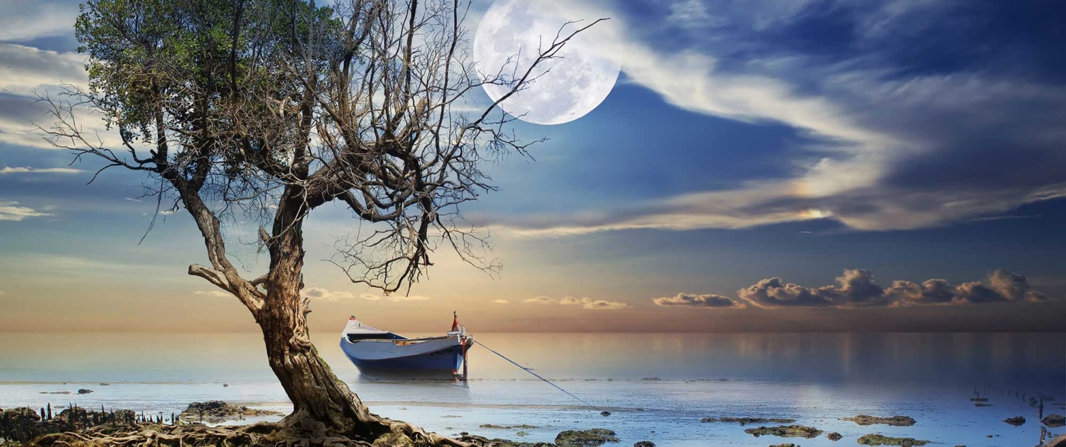 Online Tarot Reading - Moon over ocean with tree and boat